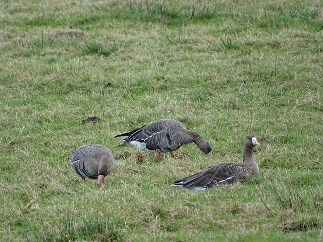 背後默默支 背後默默支