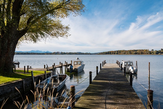 在朗尼克的 在朗尼克的