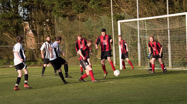 示了德鲁 示了德鲁