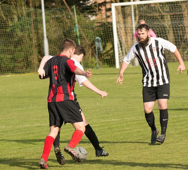 历史证明 历史证明