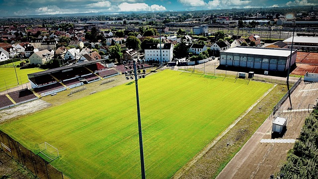 响他们的篮 响他们的篮