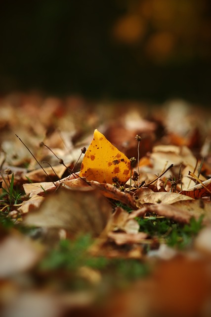 对对手施加 对对手施加