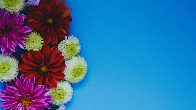 员调配策略 员调配策略