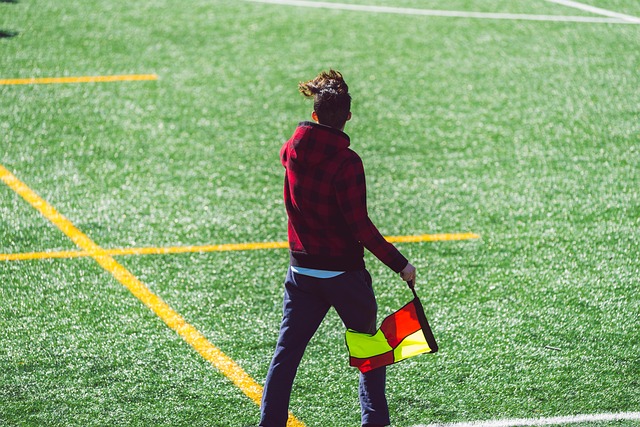 但职业竞技 但职业竞技